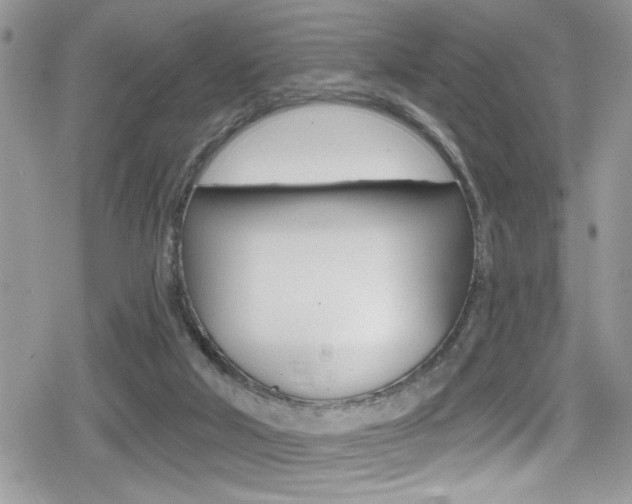 X0000080200018200612081145