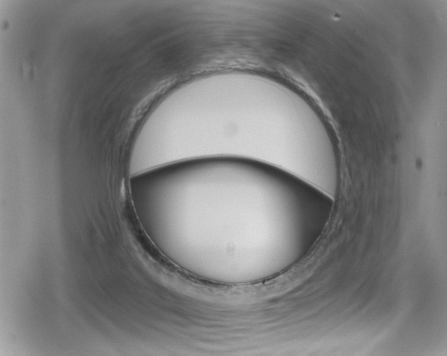 X0000080200019200612081145