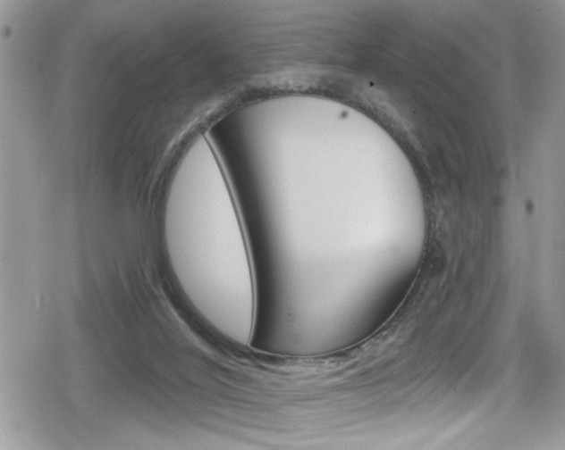 X0000080200020200612081145