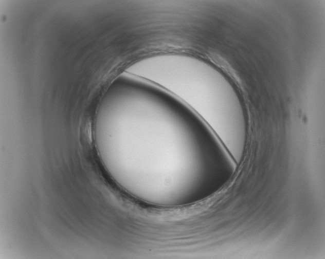 X0000080200021200612081145