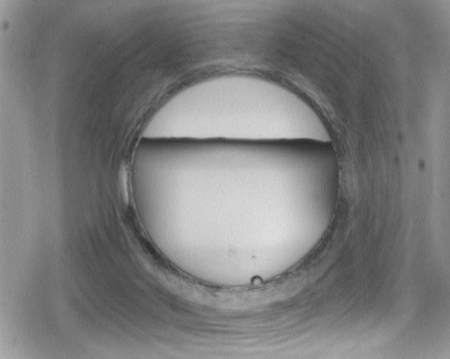 X0000080200022200612081145