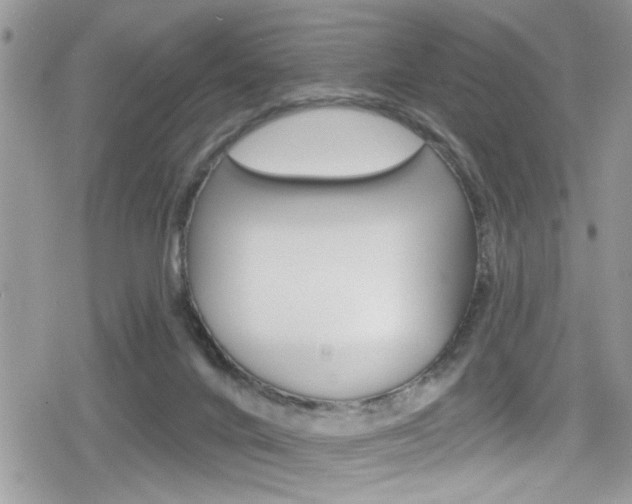 X0000080200024200612081145