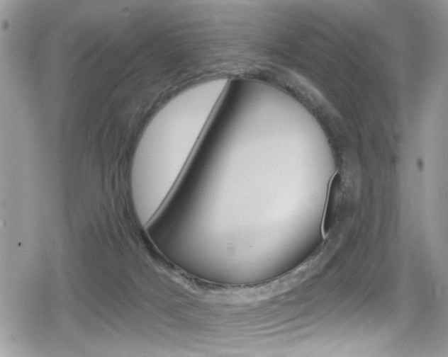 X0000080200025200612081145