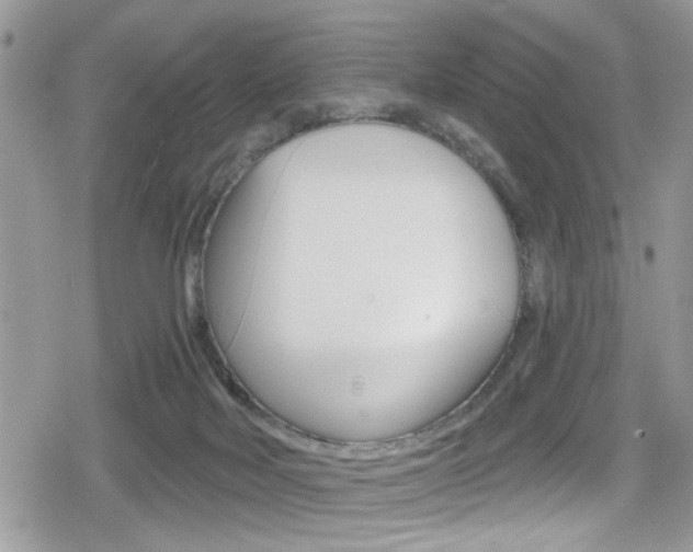 X0000080200026200612081145