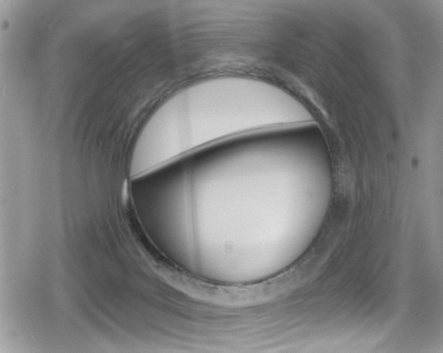 X0000080200027200612081145