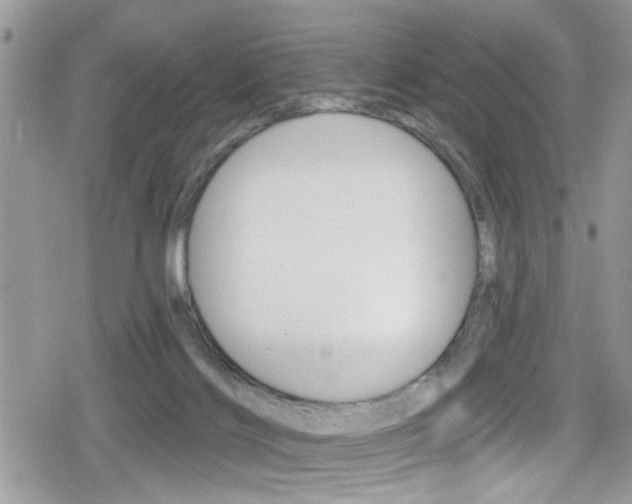 X0000080200028200612081145