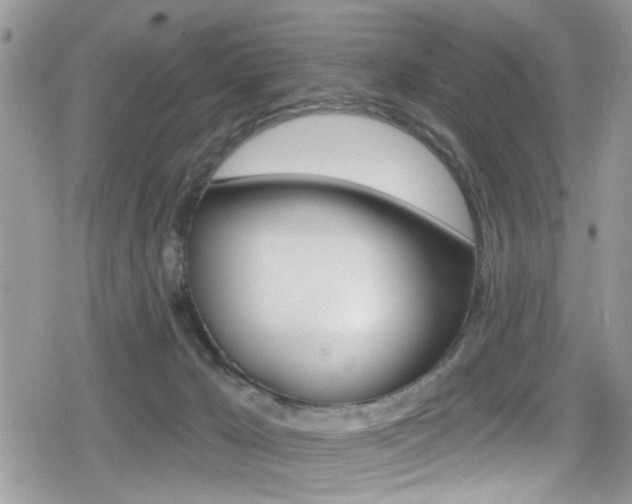 X0000080200029200612081145