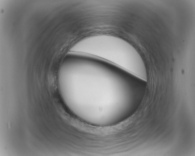 X0000080200031200612081145