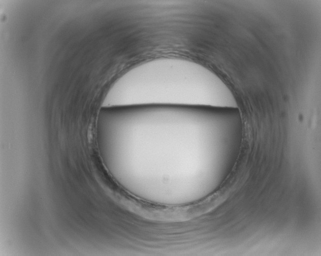 X0000080200032200612081145