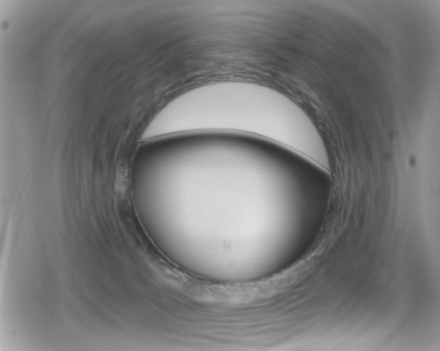 X0000080200033200612081145