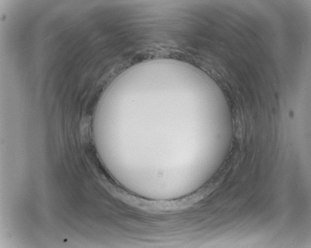 X0000080200034200612081145