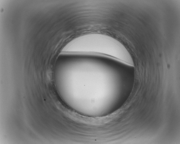 X0000080200035200612081145