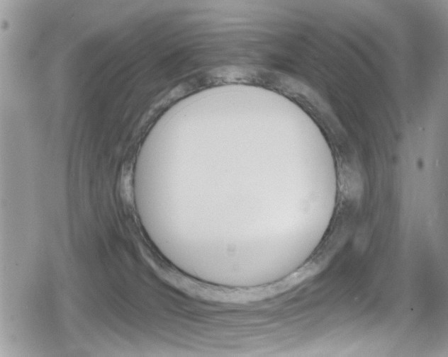 X0000080200036200612081145