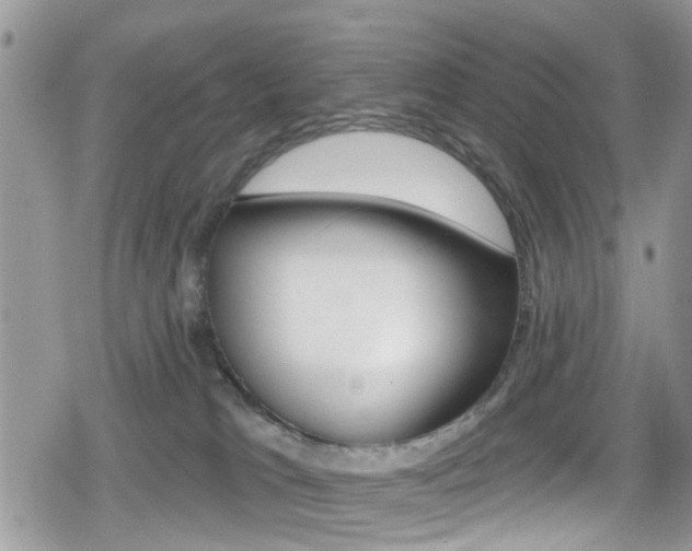 X0000080200037200612081145