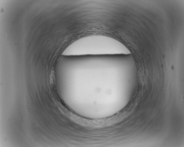 X0000080200038200612081145