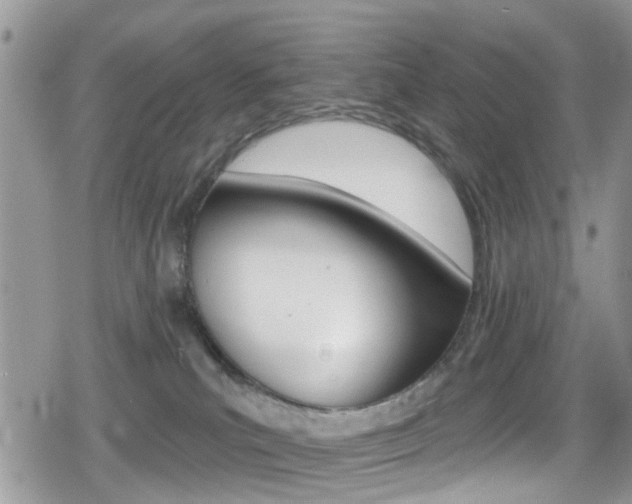 X0000080200039200612081145