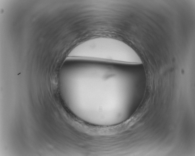 X0000080200040200612081145