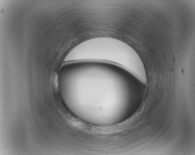 X0000080200041200612081145