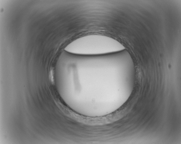 X0000080200042200612081145