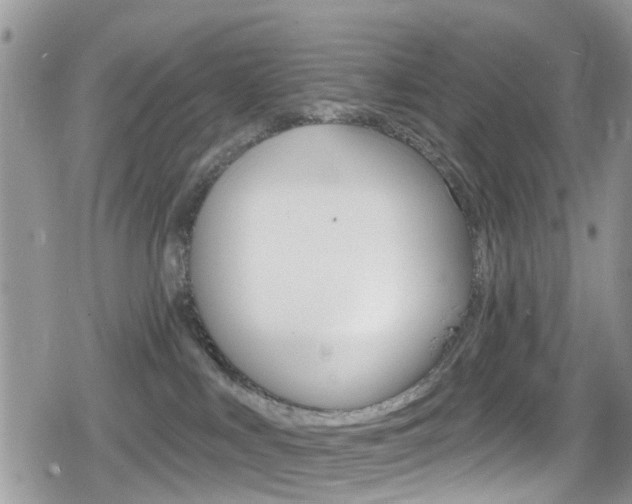 X0000080200043200612081145