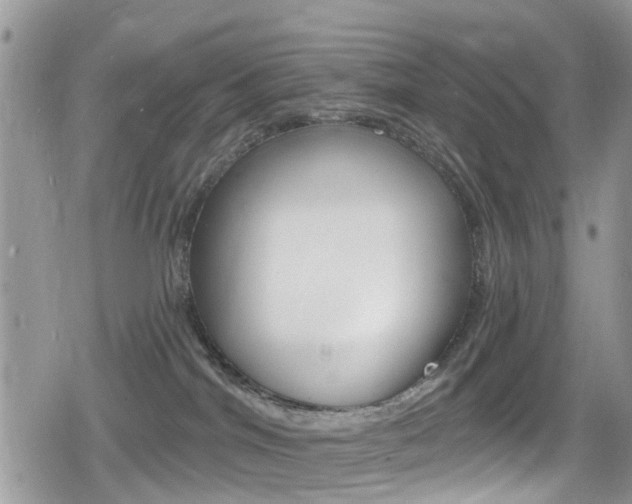 X0000080200044200612081145