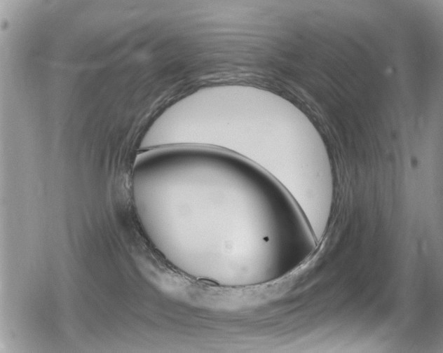 X0000080200045200612081145