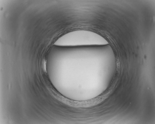 X0000080200046200612081145