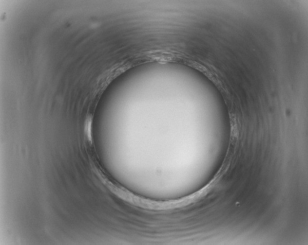 X0000080200047200612081145