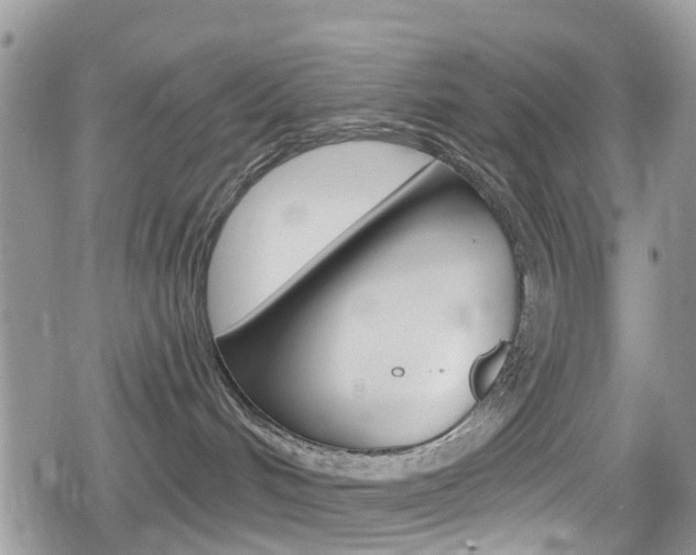 X0000080200048200612081145