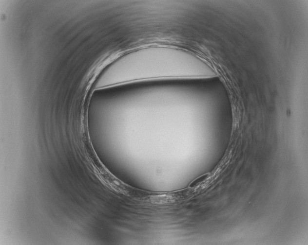 X0000080200050200612081144