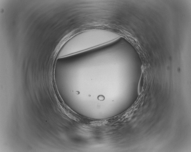 X0000080200051200612081144