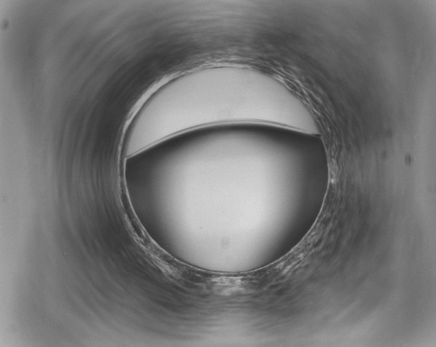 X0000080200052200612081144