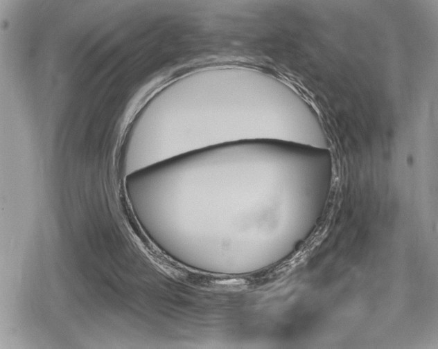 X0000080200053200612081144