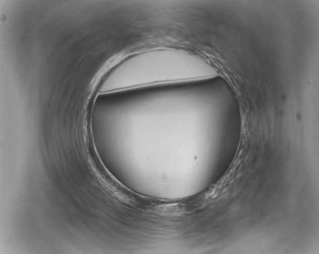 X0000080200054200612081144