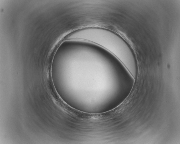 X0000080200060200612081144