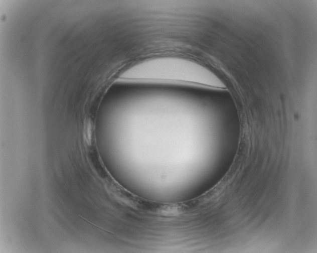 X0000080200076200612081144