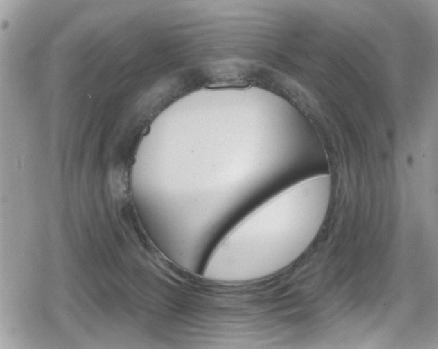 X0000080200081200612081145