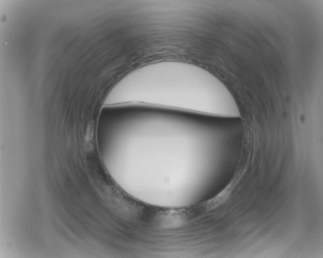 X0000080200082200612081145