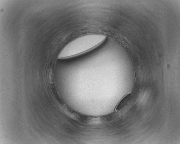 X0000080200083200612081145