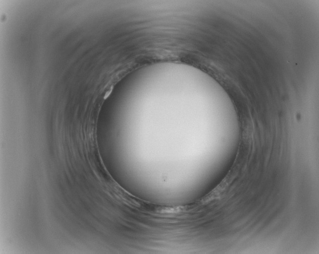 X0000080200084200612081145