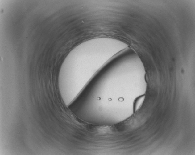 X0000080200085200612081145