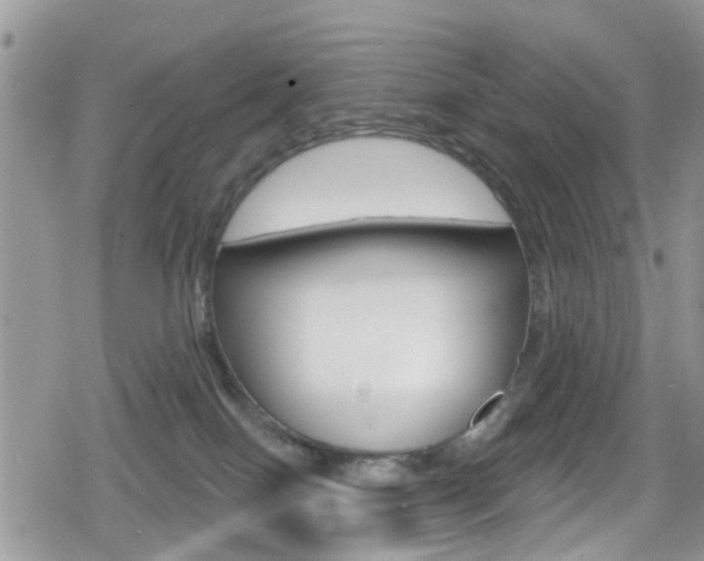 X0000080200086200612081145