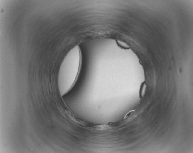 X0000080200087200612081145