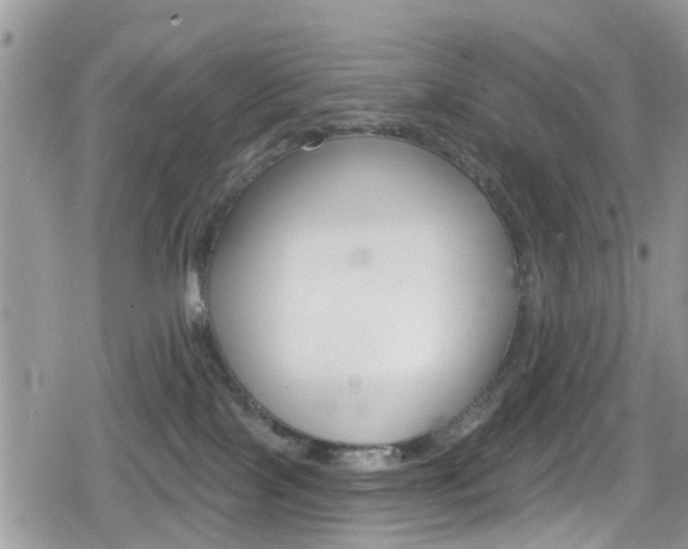 X0000080200089200612081145