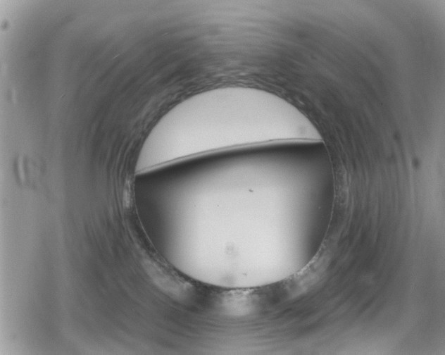 X0000080200090200612081145