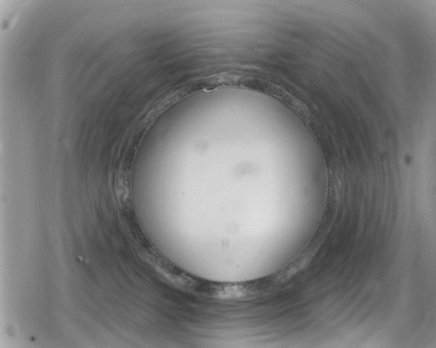 X0000080200091200612081145