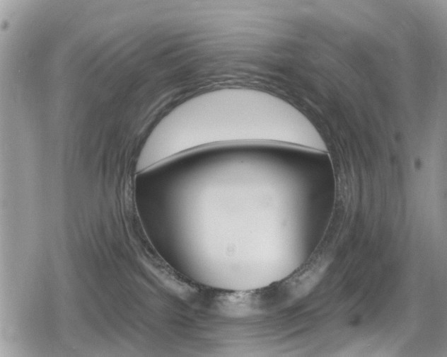 X0000080200092200612081145