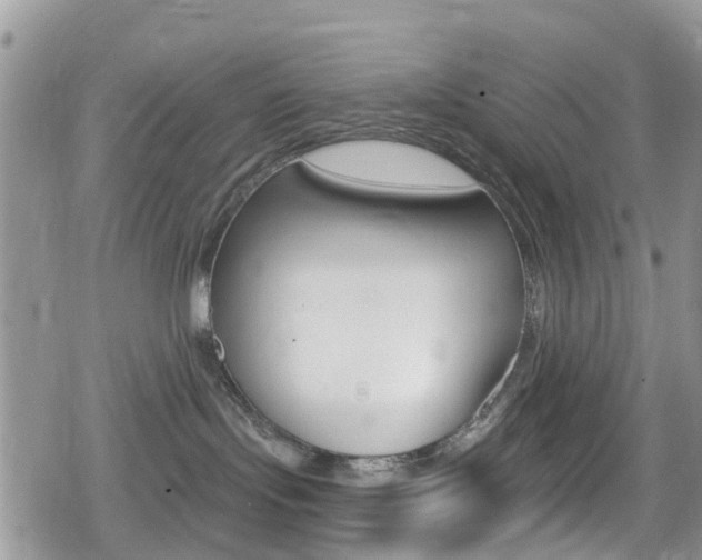 X0000080200095200612081145