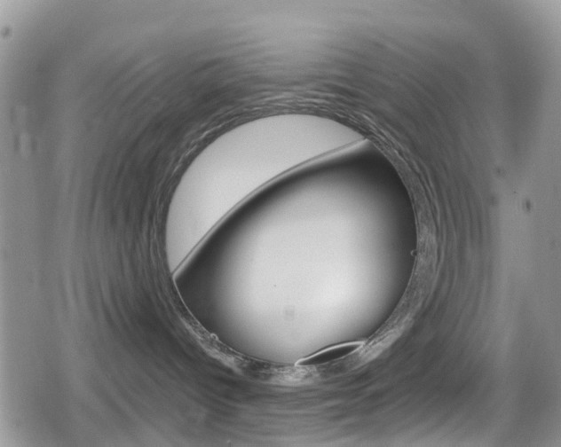 X0000080200096200612081145