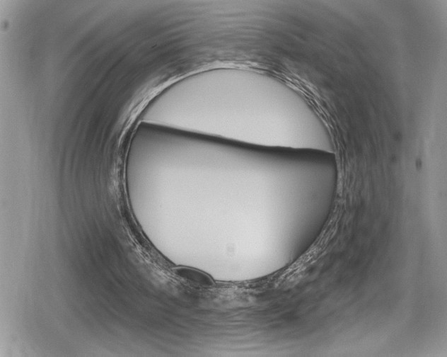 X0000080200098200612081144
